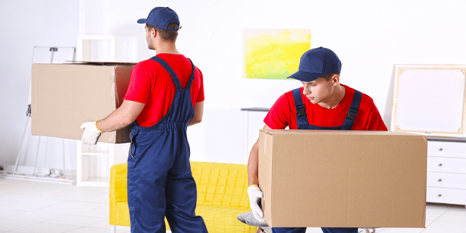 The Challenges of Furniture Shipping and Why You Need Expert Tips